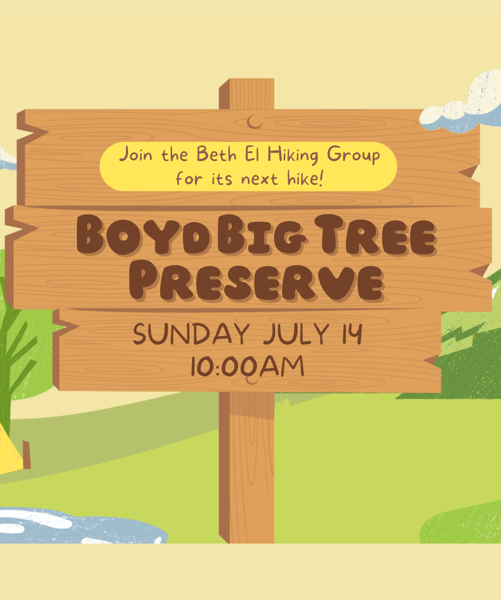 Hiking Group: Boyd Big Tree Preserve Hike