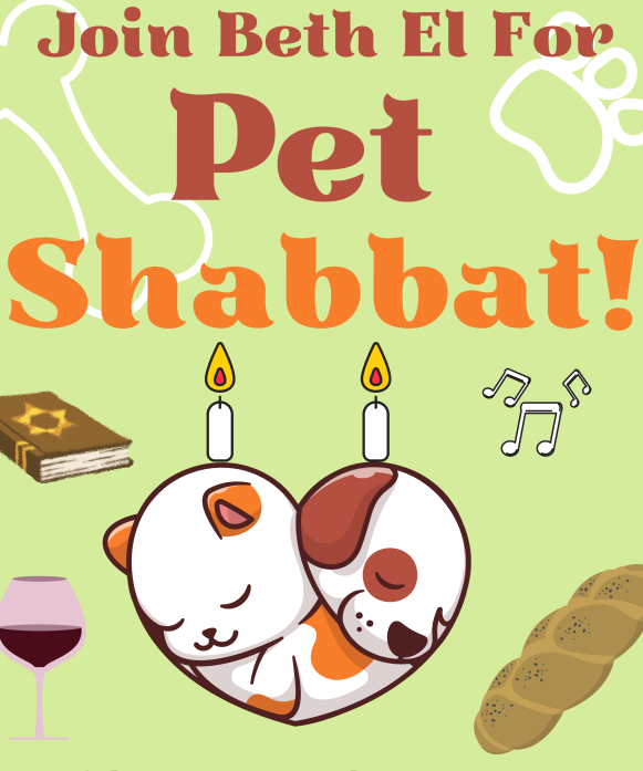 Pet Shabbat and Wear Your Colors Shabbat