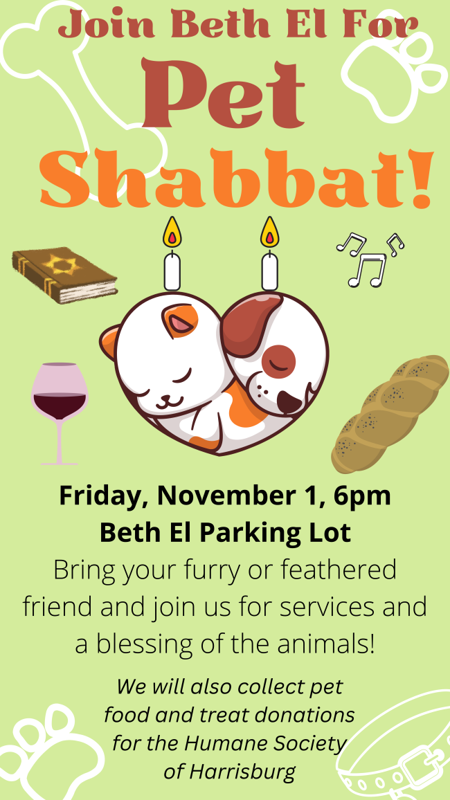 Pet Shabbat